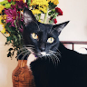 Meet your Posher, Laurel